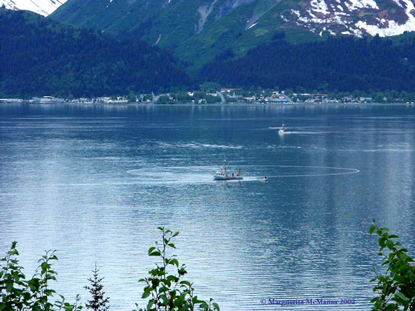 F/V Dolly B making a set in Resurrection Bay, Alaska